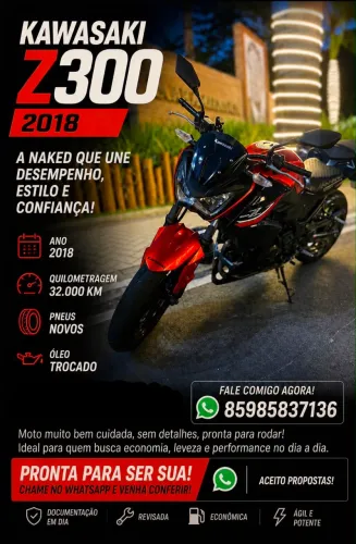 Kawasaki Z300 2017-2018