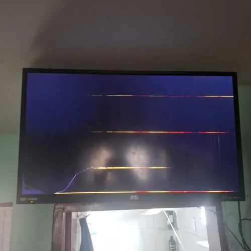 Televisão