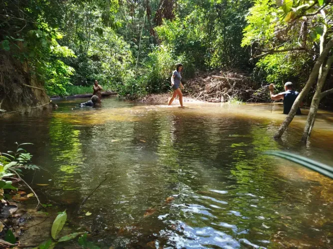 VENDE EXCELENTE PROPRIEDADE EM MORROS- MA, 35 Ha