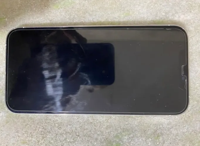 iPhone 12 Pro Max 256 g