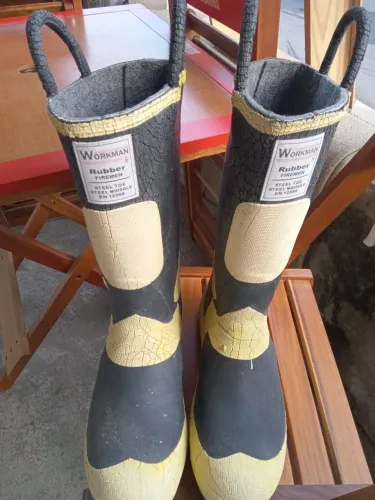 Bota