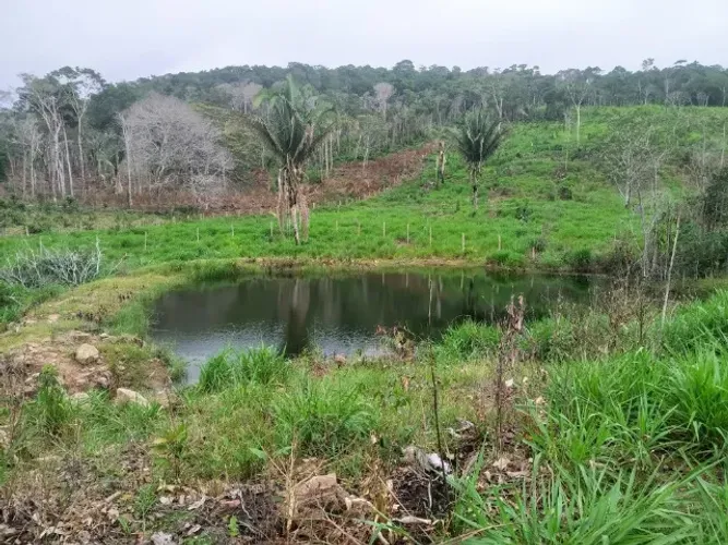 Venda de sitio de 56 Hectares em Mirante da Serra - RO