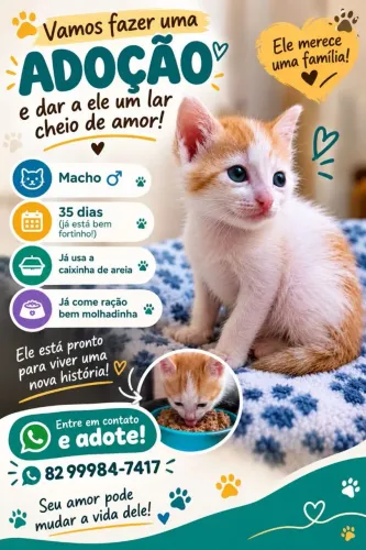 Adoção com amor