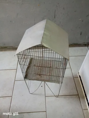 Vendo gaiola
