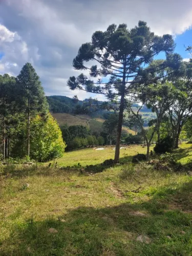Terreno rural em Linha Araújo e Souza, a partir de 2 hectares