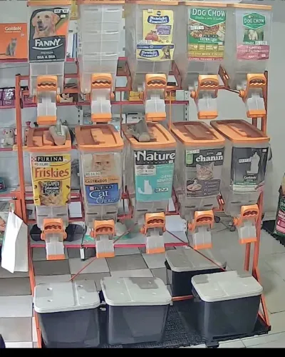 Venda de Dispenser para Ração Pet durabox
