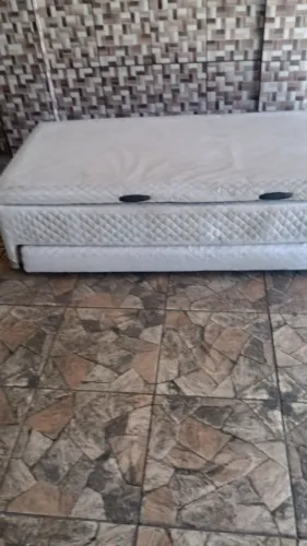 Bicama