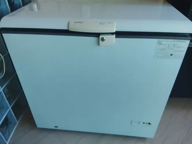 Freezer Consul 310