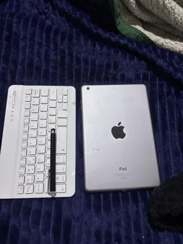iPad mini 2