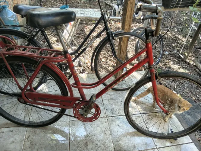 Bicicleta caloi poti l antiga