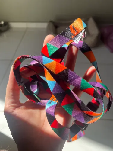 Coleira para cachorro filhote ou pequeno porte