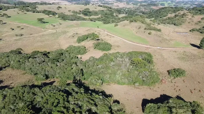 LINDA CHÁCARA