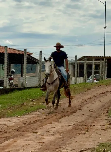 Cavalo registrado marcha picada de pista