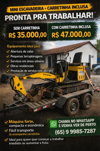 Mini escavadeira