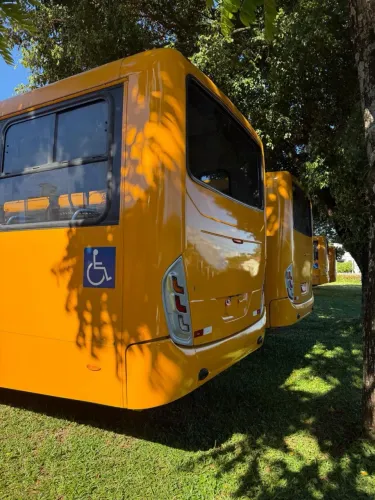 VW Comil svelton 2019/2020