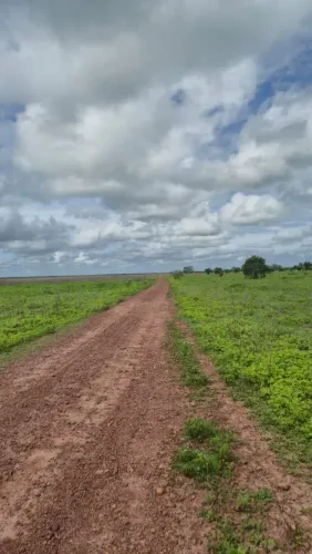 Maranhão - Fazenda 1.800 hectares