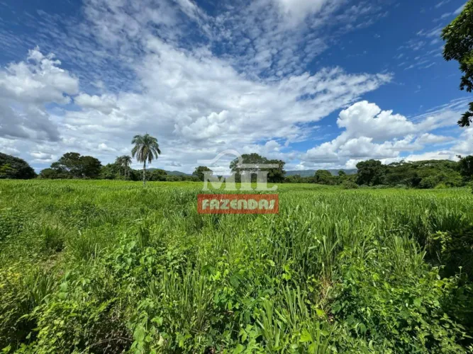Fazenda 470 Alqueires (2.275 hectares) Teresina de Goiás - GO