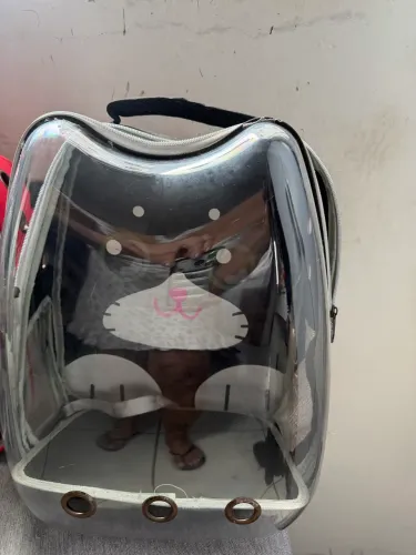 Mochila para transportar PETS 70 reais cada 