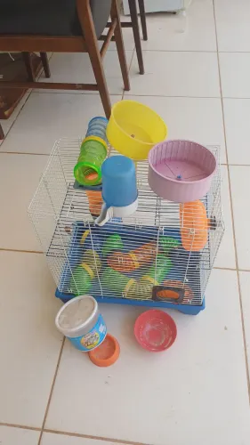 Gaiola para Hamster, Chinchila e Semelhantes - Completa