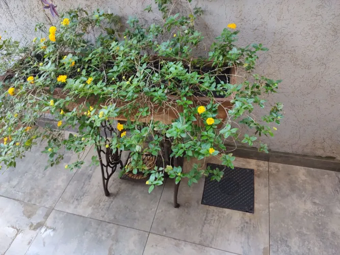 Jardineira com pé de máquina de costura