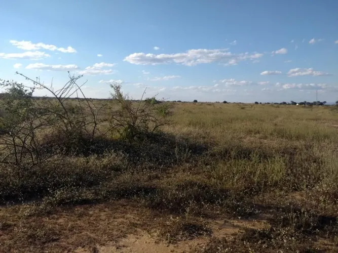 Fazenda em Janaúba MG