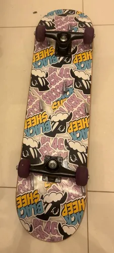 Skate usado 2 vezes
