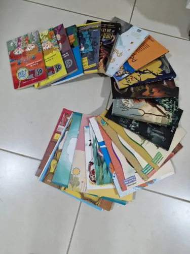 Livros literários diversos