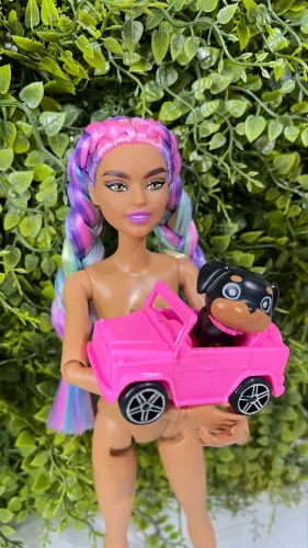 Barbie Extra 5 com pet