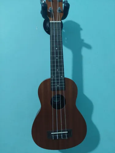 Ukulele winner