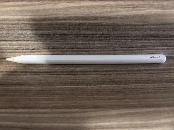 Apple Pencil USB C