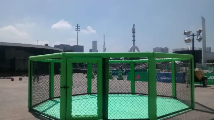 Gaiola De Mma Octógono Oficial Luta Livre E Boxe