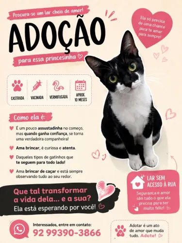Doação Responsável Gata frajola fêmea CASTRADA 