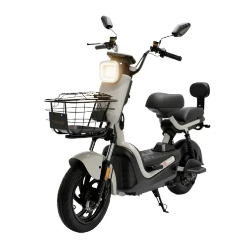 MOTO ELETRICA SMART WHEEL JK30 500WTS BEIGE 48V12AH