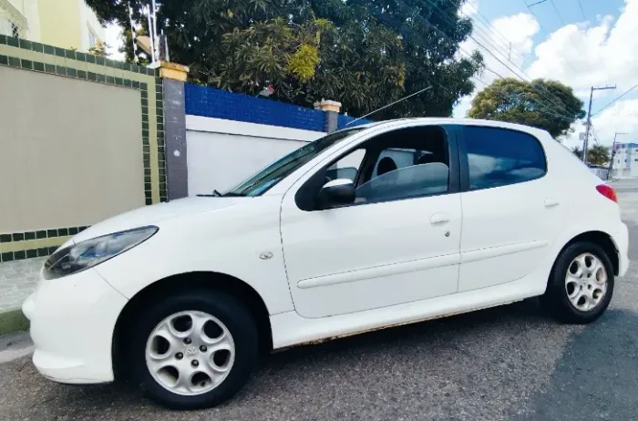 Peugeot 207 XR 1.4 Flex 8V 5P 2013