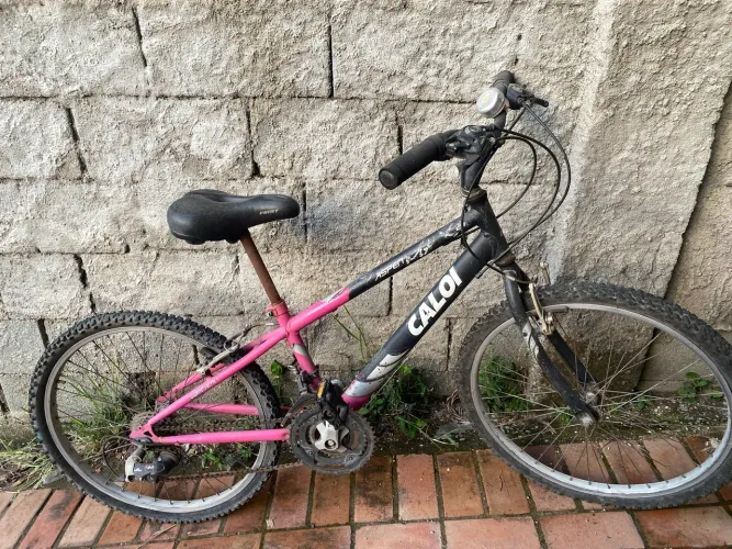 Bicicleta