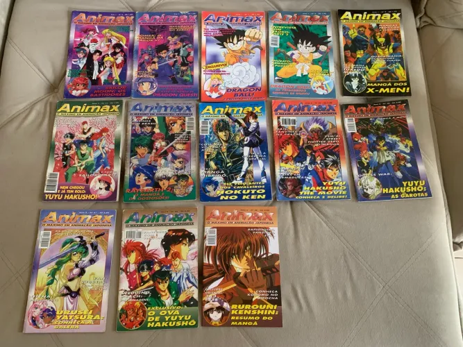 Lote 13 revistas animax