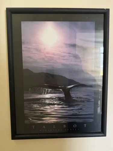 Quadro decorativo de vidro 60 X 50