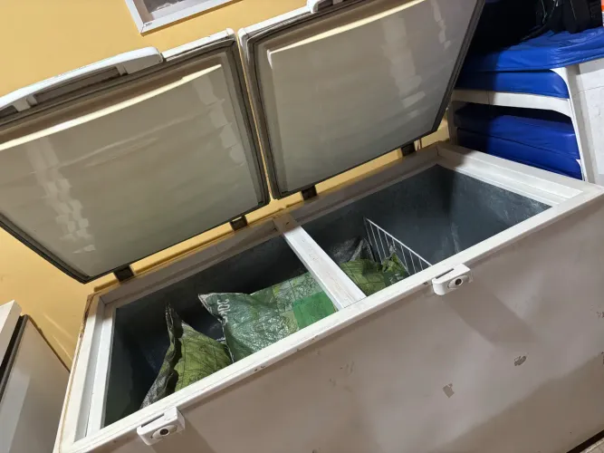 Freezer horizontal Electrolux