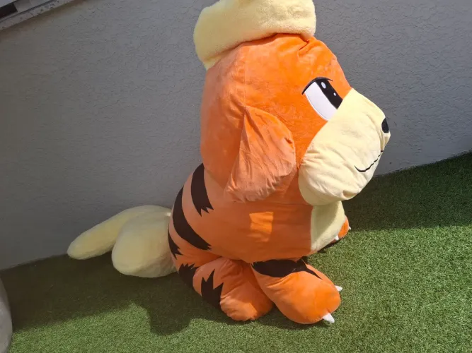 Pelúcia Gigante Pokémon
