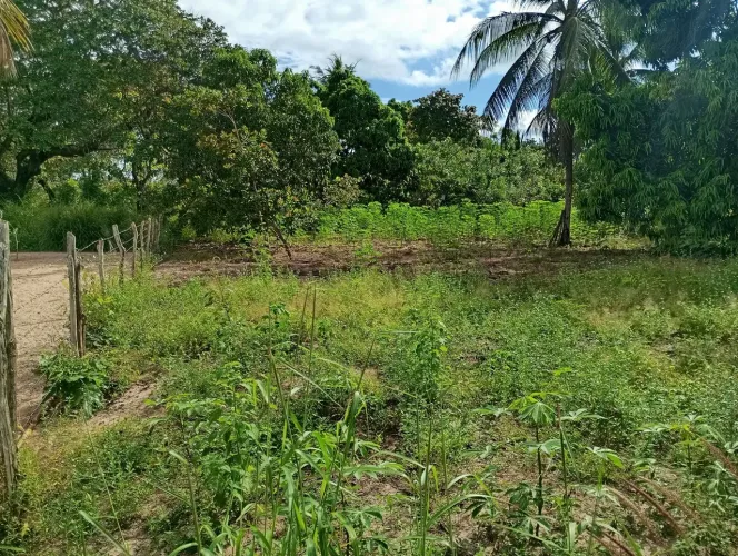 canavieira dos Muniz- Horizonte ótimo acesso próximo a Naturágua