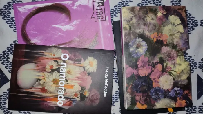 Livro - O namorado - Freida McFadden - TAG inéditos