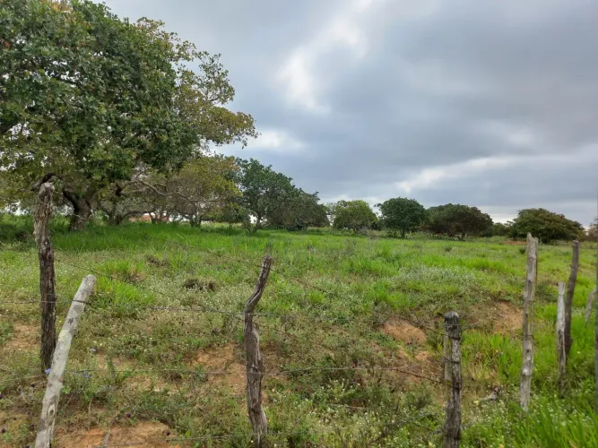 Terra à Venda