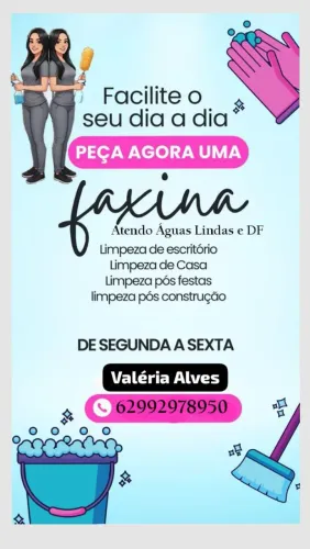 Faxina, passadoria e organização.