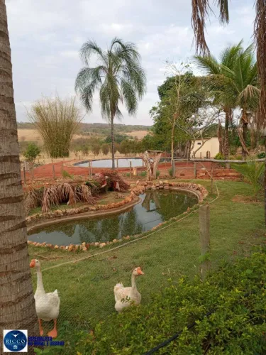 Chácara à Venda em Terezópolis de Goiás 24.200 m²