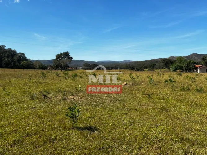 Fazenda 66 alqueires (319,4 hectares) Minaçu - GO