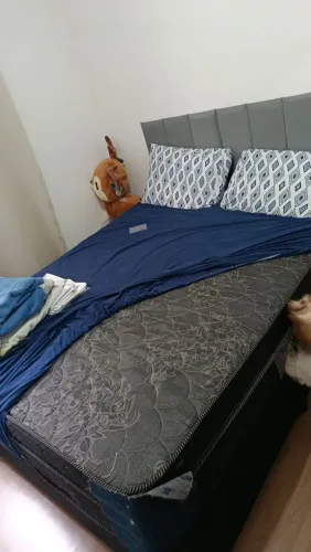 Cama e guarda roupa 