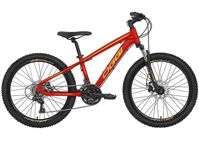 Bicicleta OGGI Aro 24