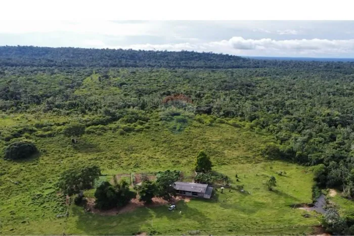 LINDA FAZENDA MATO GROSSO