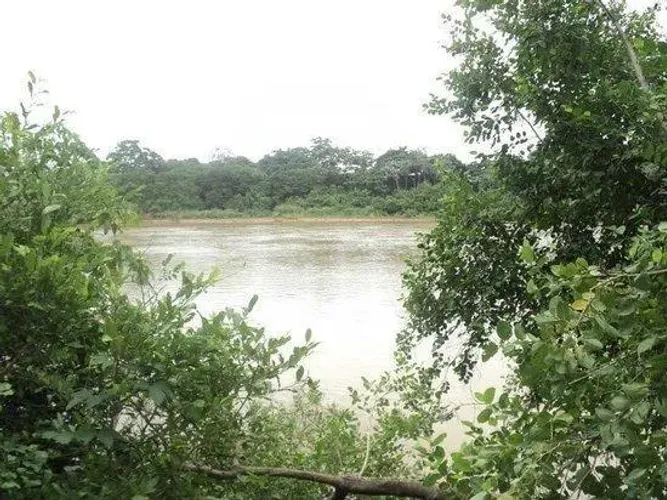 Chácara Beira-Rio - 7.700m² de Puro Encanto Natural Próximo a Santo Antônio de Leverger
