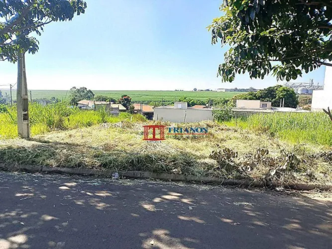 Terreno próximo do Hospital Regional, no Bairro Santa Rita